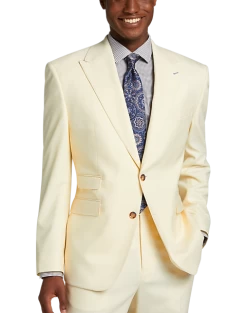 Tayion Classic Fit Suit Separates Coat, Cream