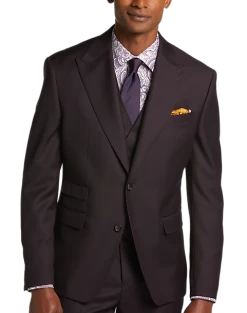 Tayion Classic Fit Suit Separates Coat, Wine Plum